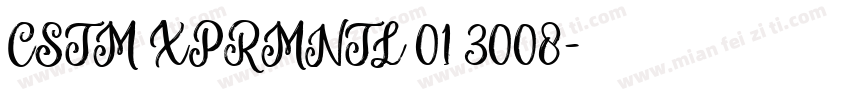 CSTM XPRMNTL 01 3008字体转换